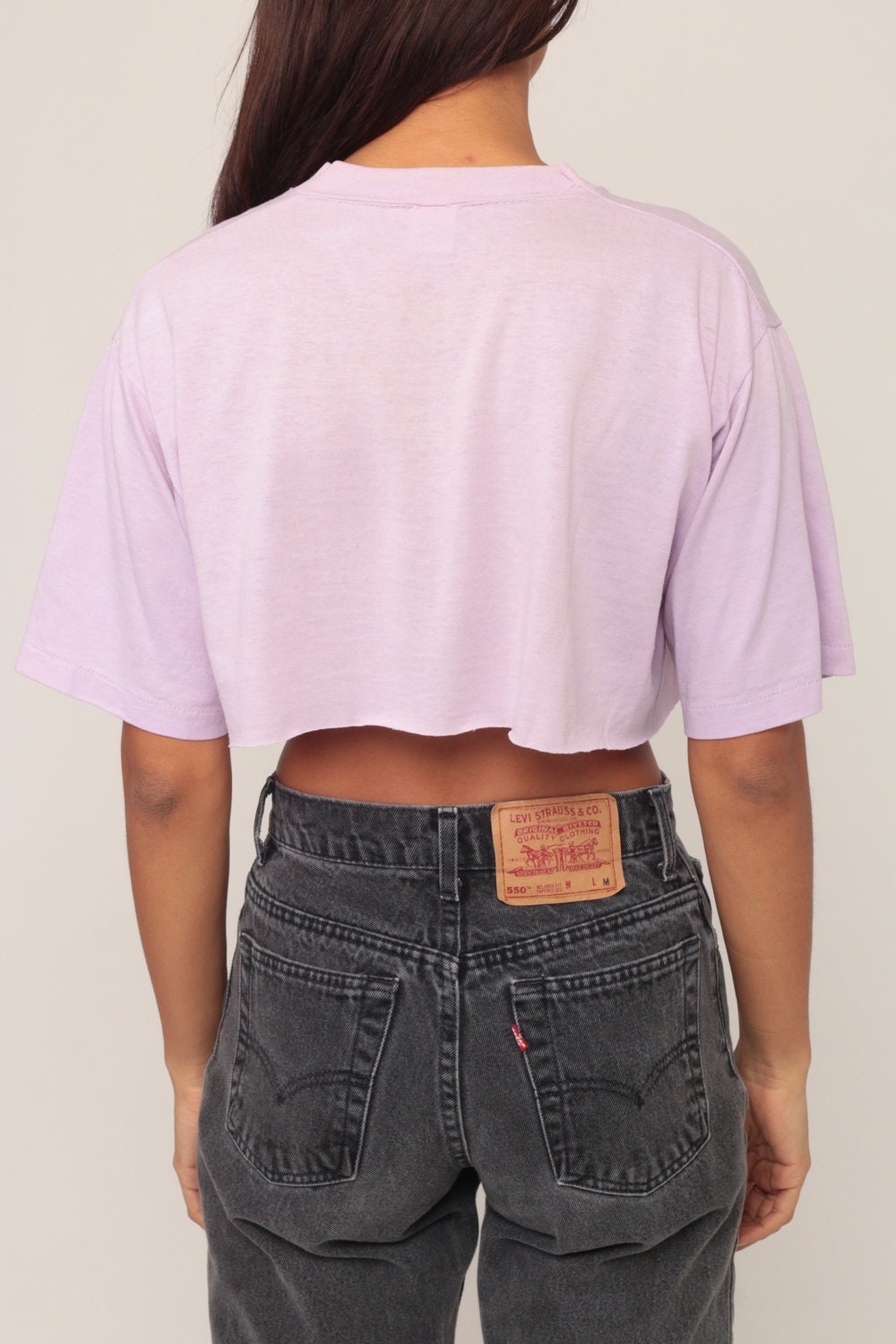 80s Lake Pomme de Terre Missouri Graphic T-Shirt Purple Crop Small