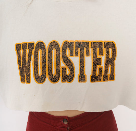 90s Cropped Sweatshirt Cream Wooster College Graphic Crewneck Cotton Long Sleeve Boxy Raw Hem Collegiate Preppy Brown Orange Crop Top Shirt Vintage Jan Sport Medium M