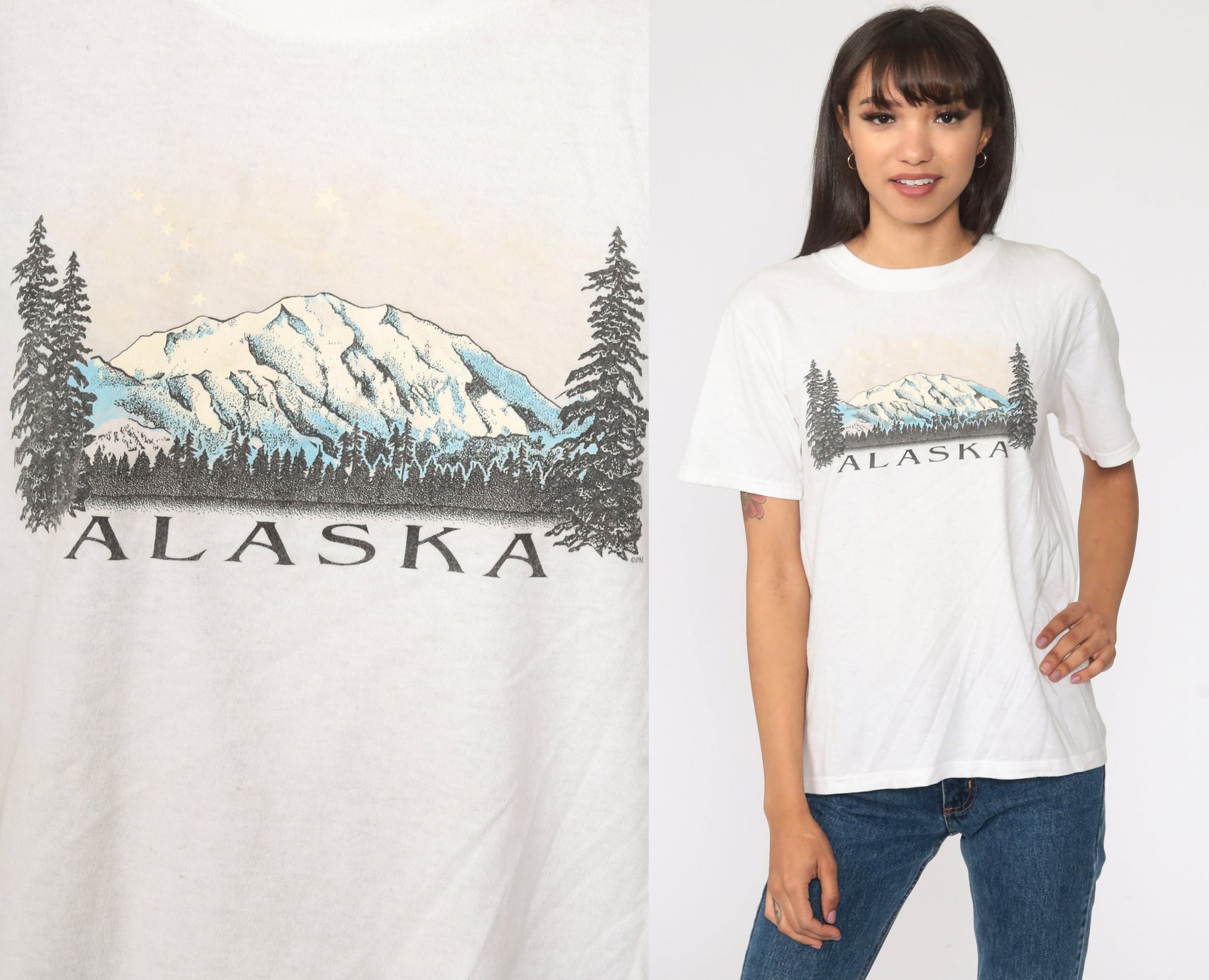 90s Alaska Mountain Graphic T-Shirt White Cotton Tee Extra Small
