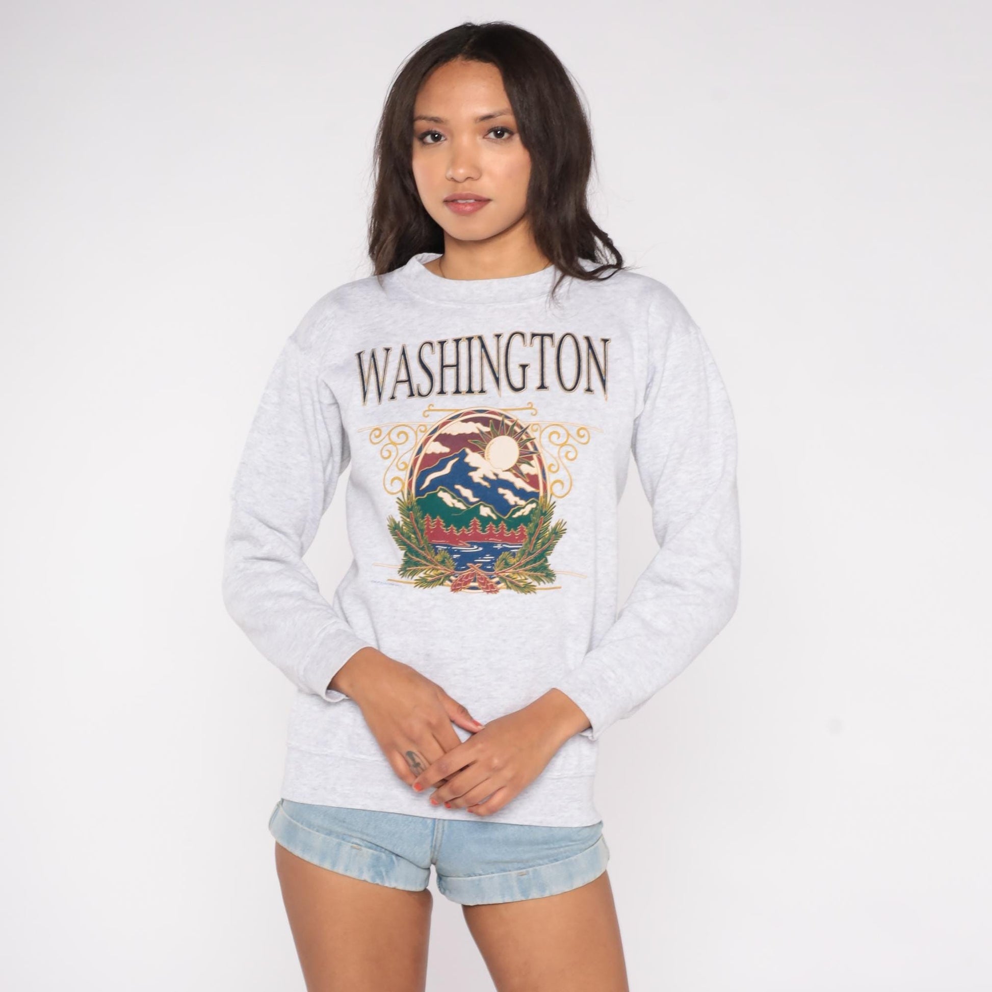 90s Murina Washington Graphic Sweatshirt Mountain Print Grey Small