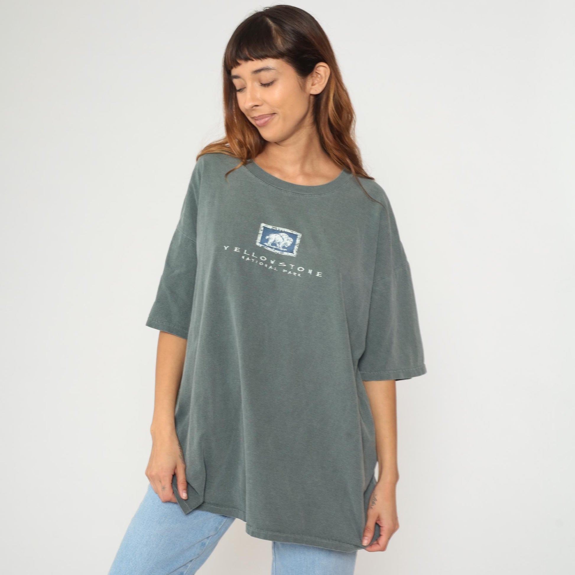 90s Fred Harvey Yellowstone National Park Bison Cotton Tee Sage Green Extra Large XL