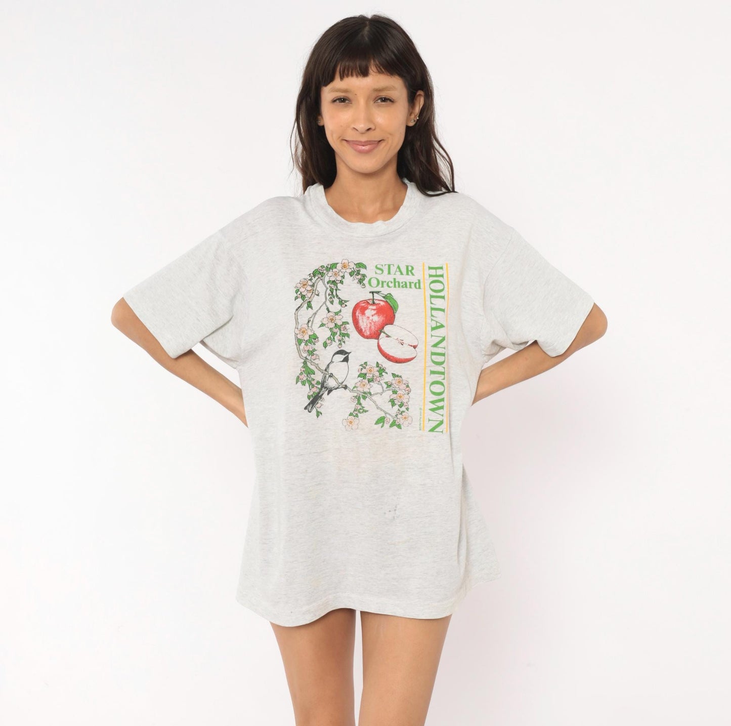 90s Screen Stars Best Apple Blossom Chickadee Graphic Tee Grey Extra Large XL