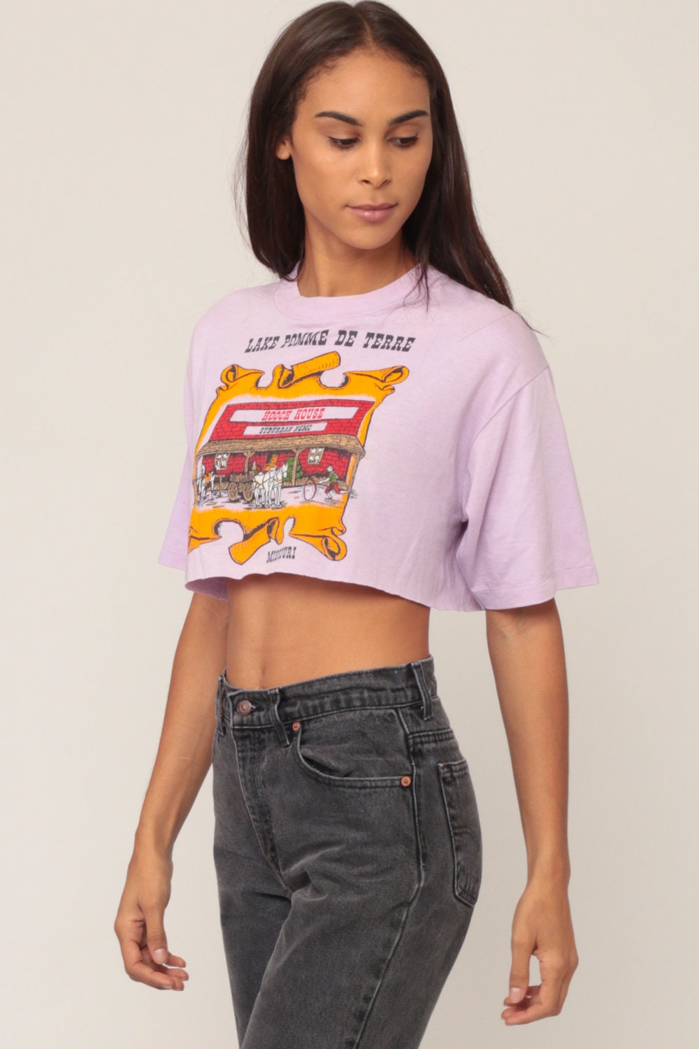 80s Lake Pomme de Terre Missouri Graphic T-Shirt Purple Crop Small