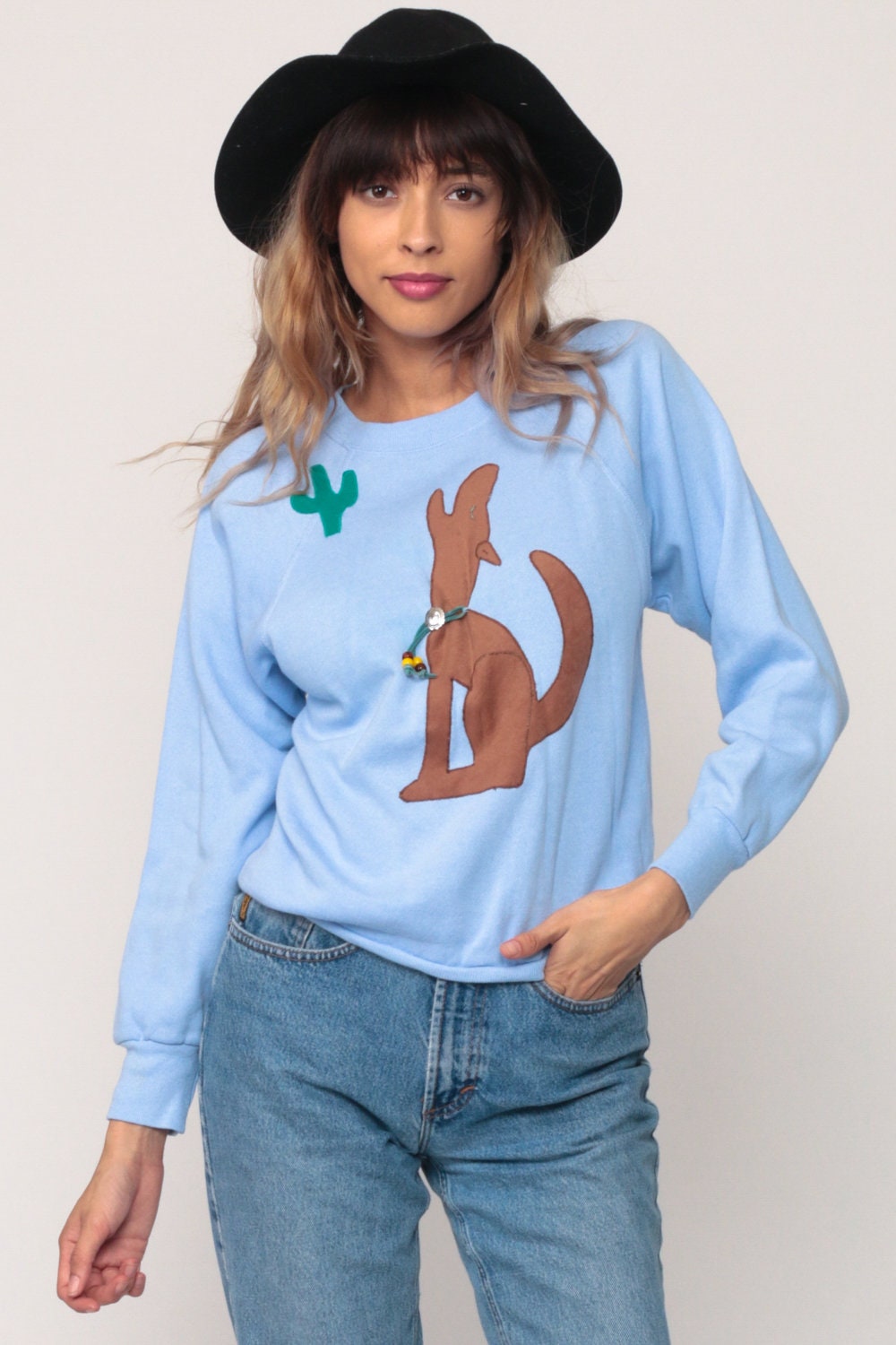 80s Coyote Cactus Sweatshirt Navajo Southwest Graphic Raglan Baby Blue XS