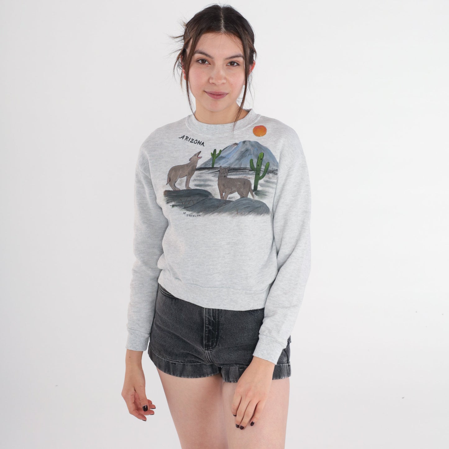90s Arizona Desert Coyote Painted Sweatshirt Grey Glitter Graphic Jerzees Extra Small