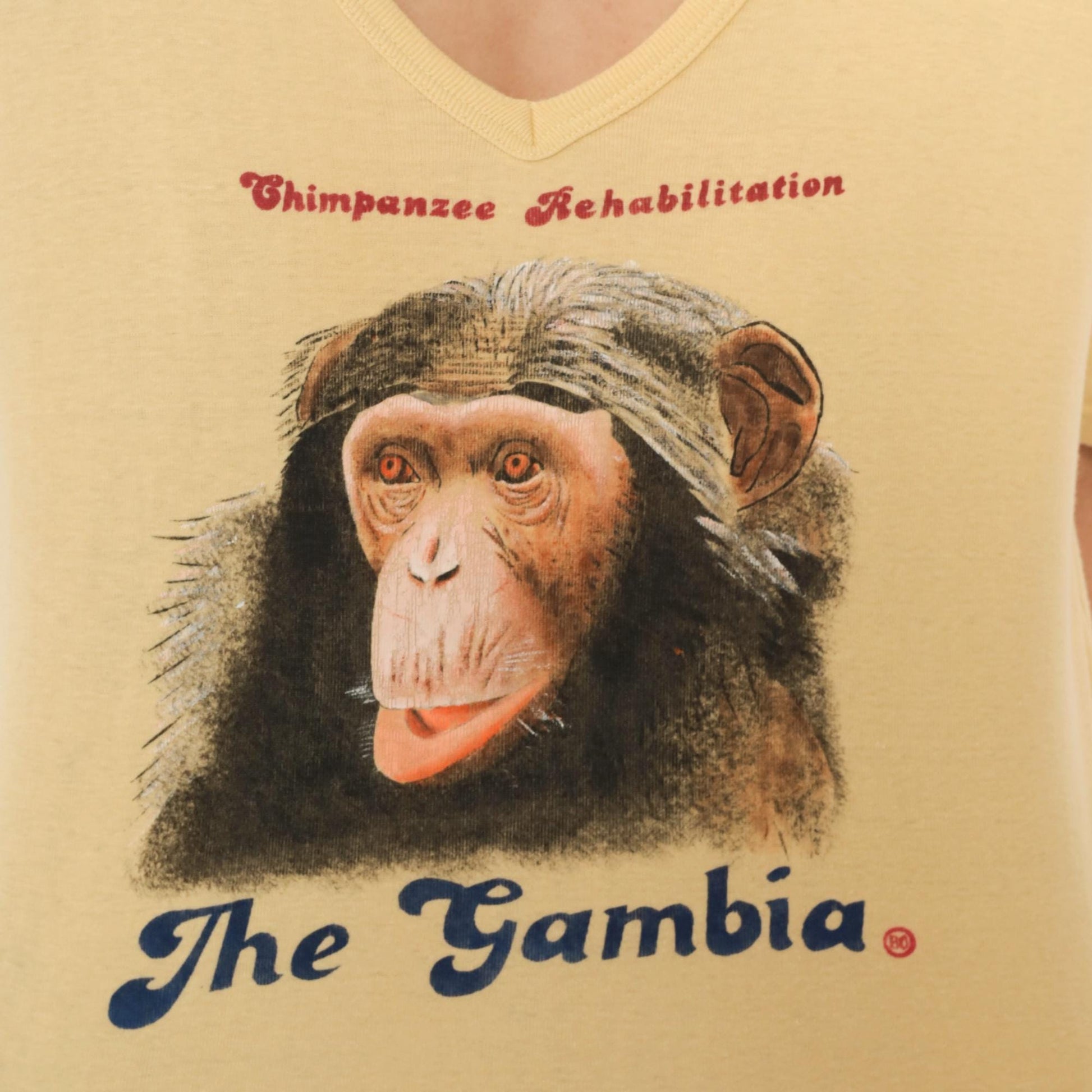 80s Chimpanzee Rehabilitation The Gambia Yellow Cotton V-Neck Tee Large L