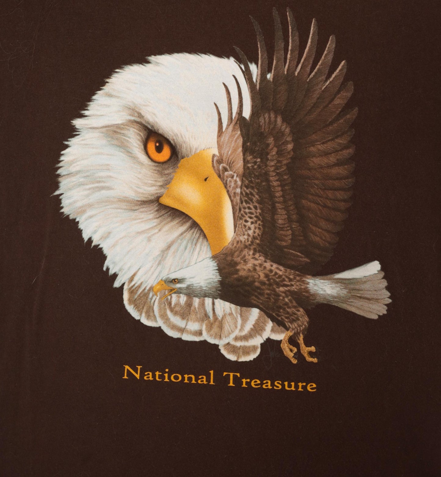 2000s Bald Eagle Nature Tee Ringspun Apparel Brown Cotton Graphic Shirt Extra Large XL