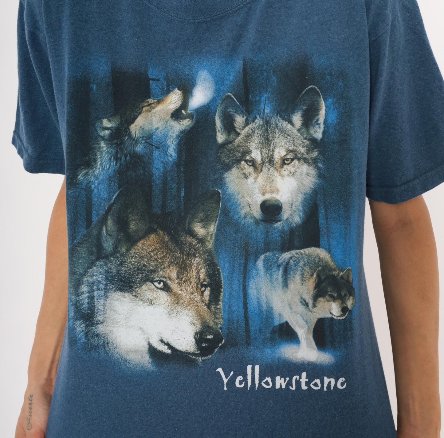 2000s Eco Mountain Yellowstone Wolf Graphic Tee Blue Medium M