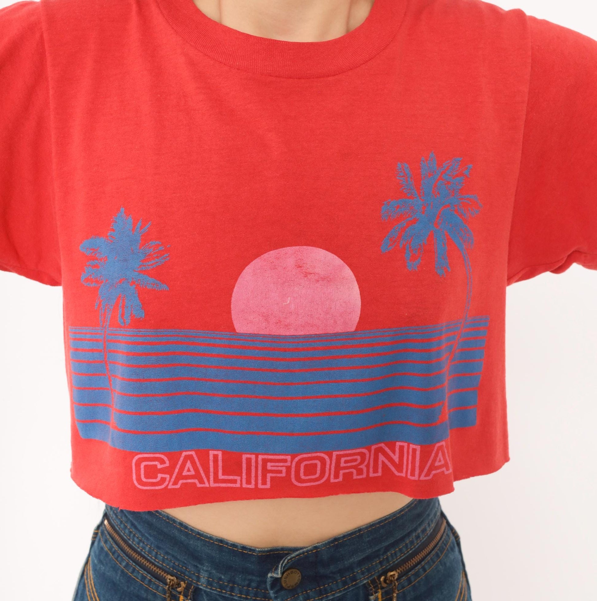 80s California Sunset Crop Top Red Graphic Tee Palm Tree Raglan Medium M