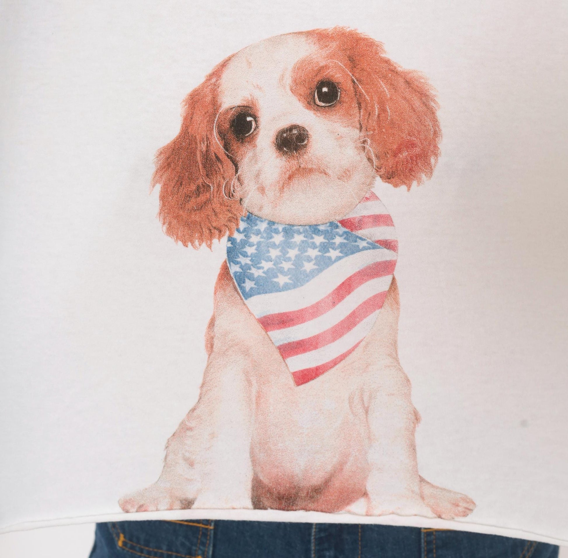 90s Yazbek Puppy Dog American Flag Bandana Graphic Crop Tee White Cotton Medium