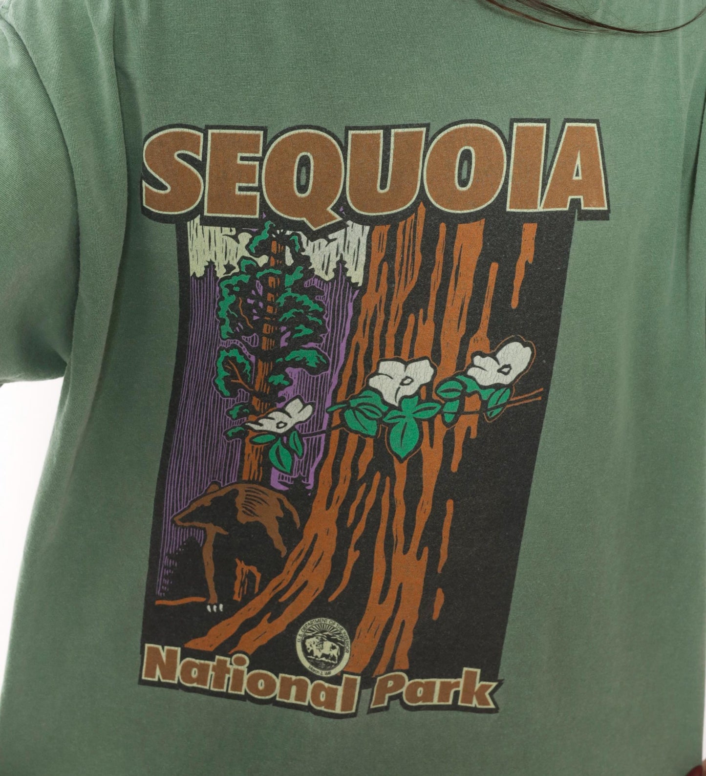 2000s Sequoia National Park Graphic Tee Sage Green Chroma Zone Medium