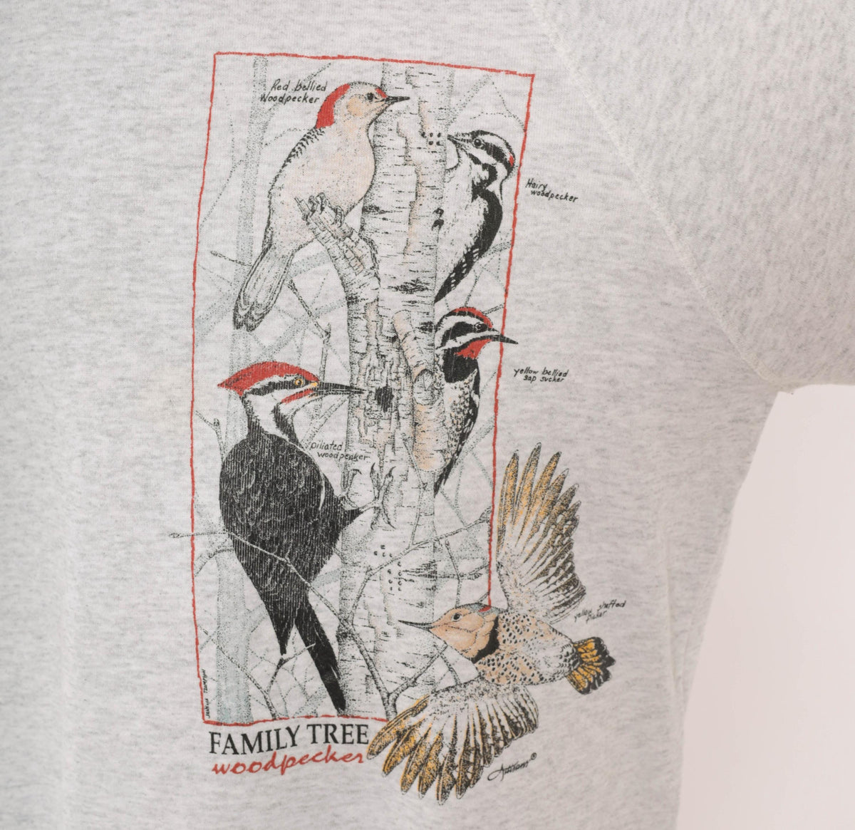 90s Lee Woodpecker Family Tree Sweatshirt Grey Cotton Blend Extra Large