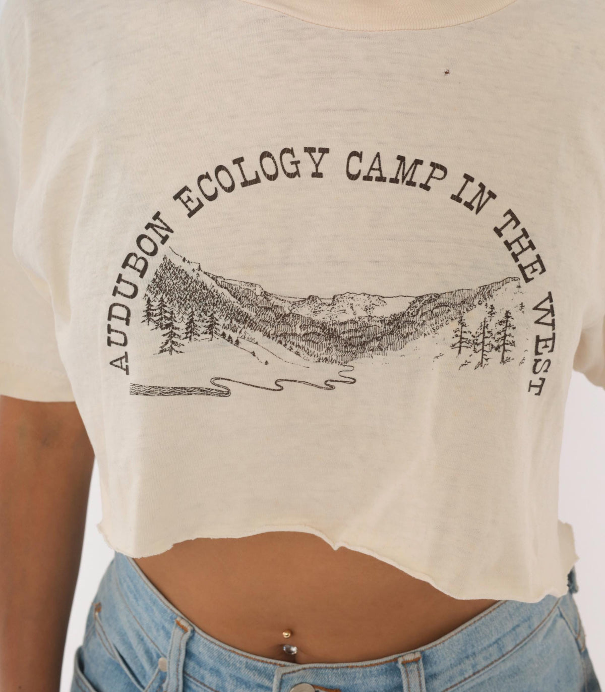 90s Audubon Ecology Camp Mountain Pine Tree Graphic Crop Top Cream Small