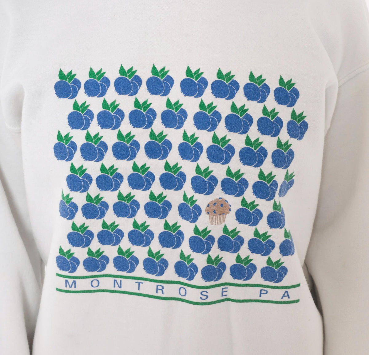 Y2K Gildan Blueberry Muffin Sweatshirt White Montrose PA Graphic Small