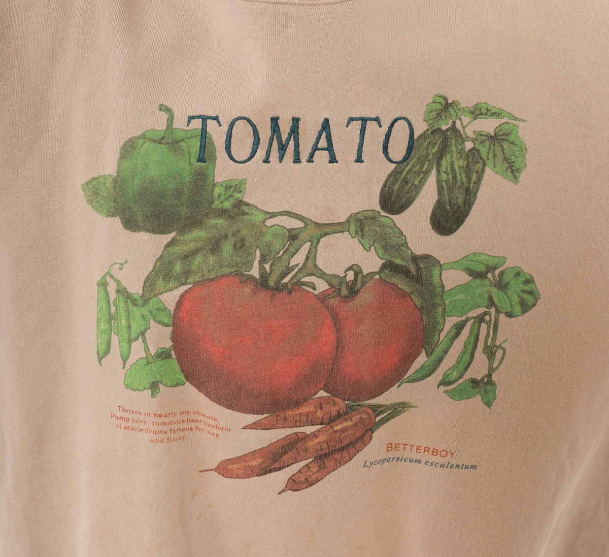 90s 5 Seasons Tomato Garden Vegetable Graphic Sweatshirt Tan Crewneck Large