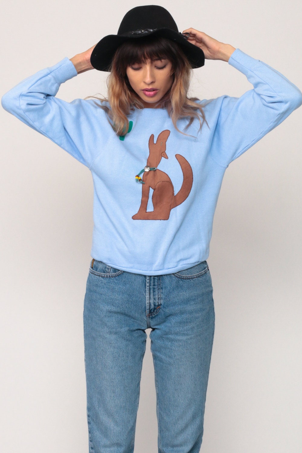 80s Coyote Cactus Sweatshirt Navajo Southwest Graphic Raglan Baby Blue XS