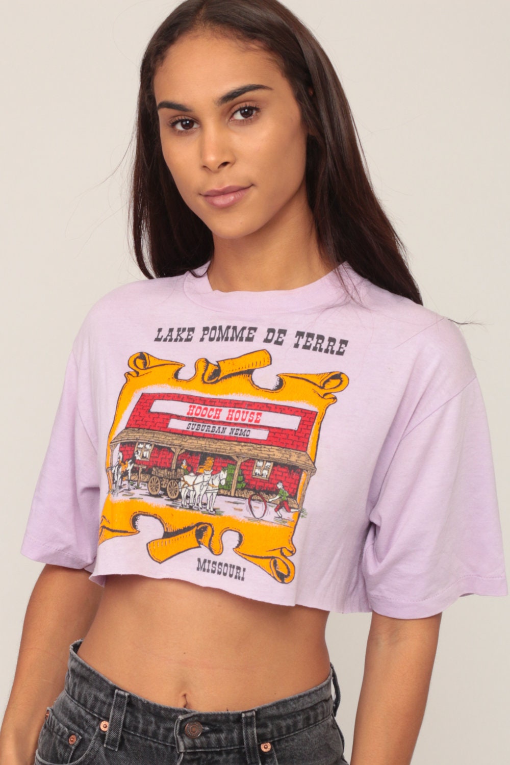 80s Lake Pomme de Terre Missouri Graphic T-Shirt Purple Crop Small