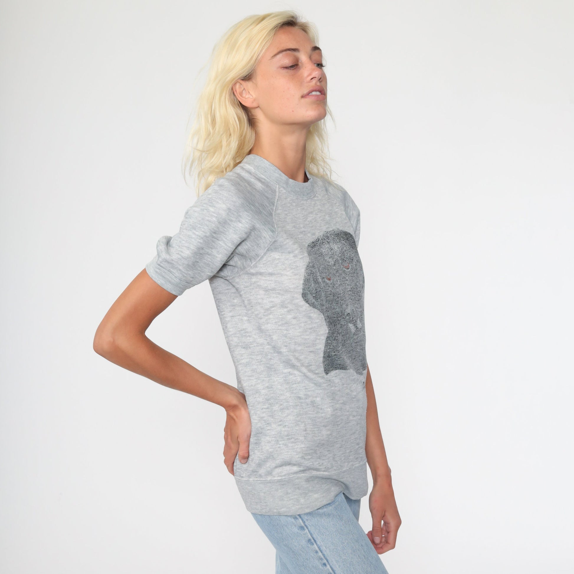 80s Dog Graphic Short Sleeve Sweatshirt Raglan Grey Small