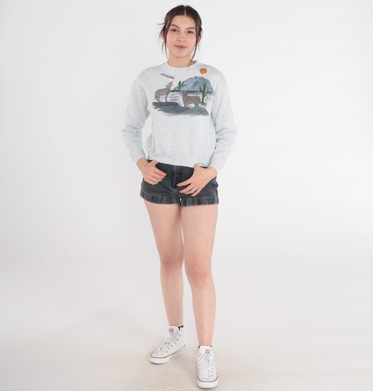90s Arizona Desert Coyote Painted Sweatshirt Grey Glitter Graphic Jerzees Extra Small
