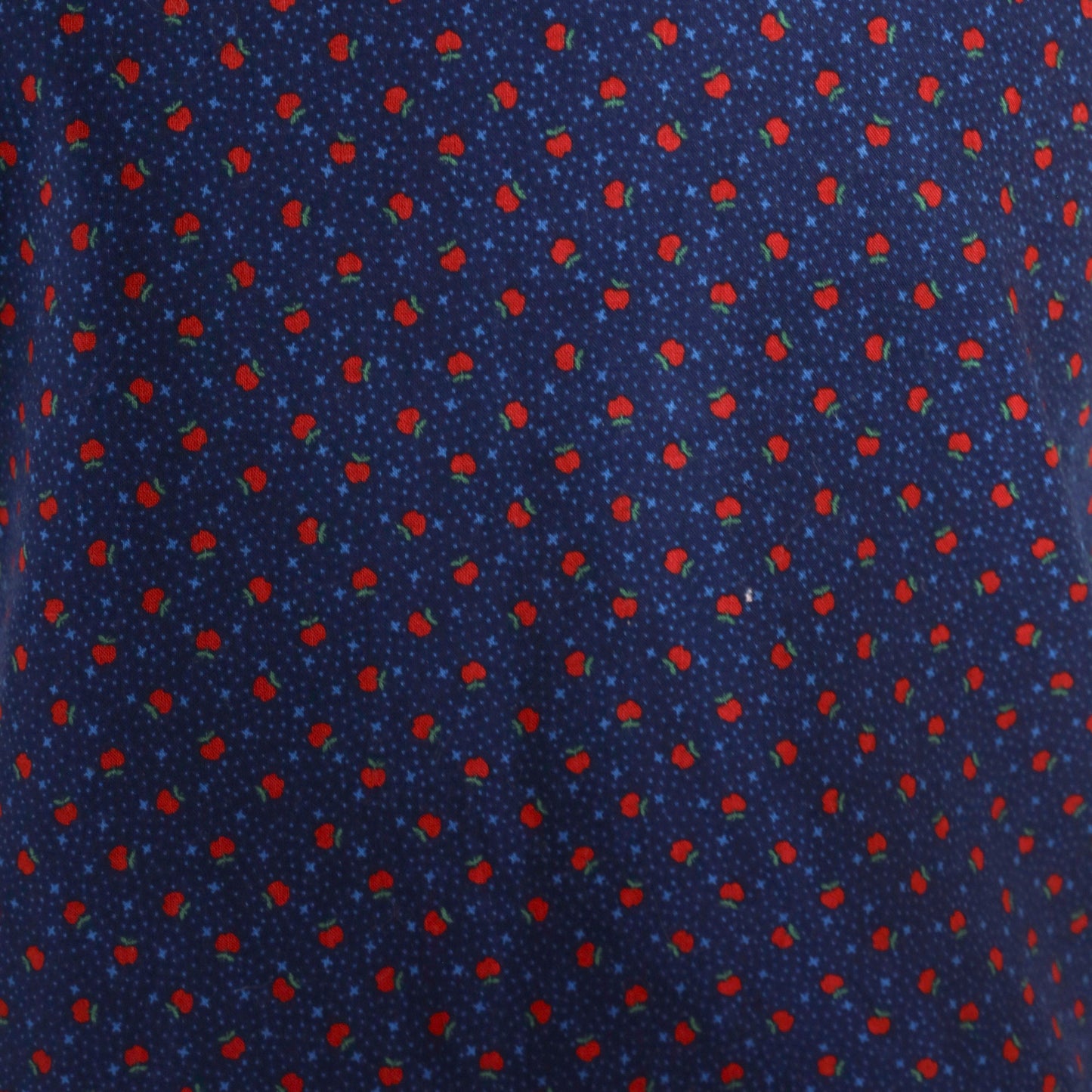 70s Blue Button-Up Vest Apple Print Sleeveless Jacket Medium