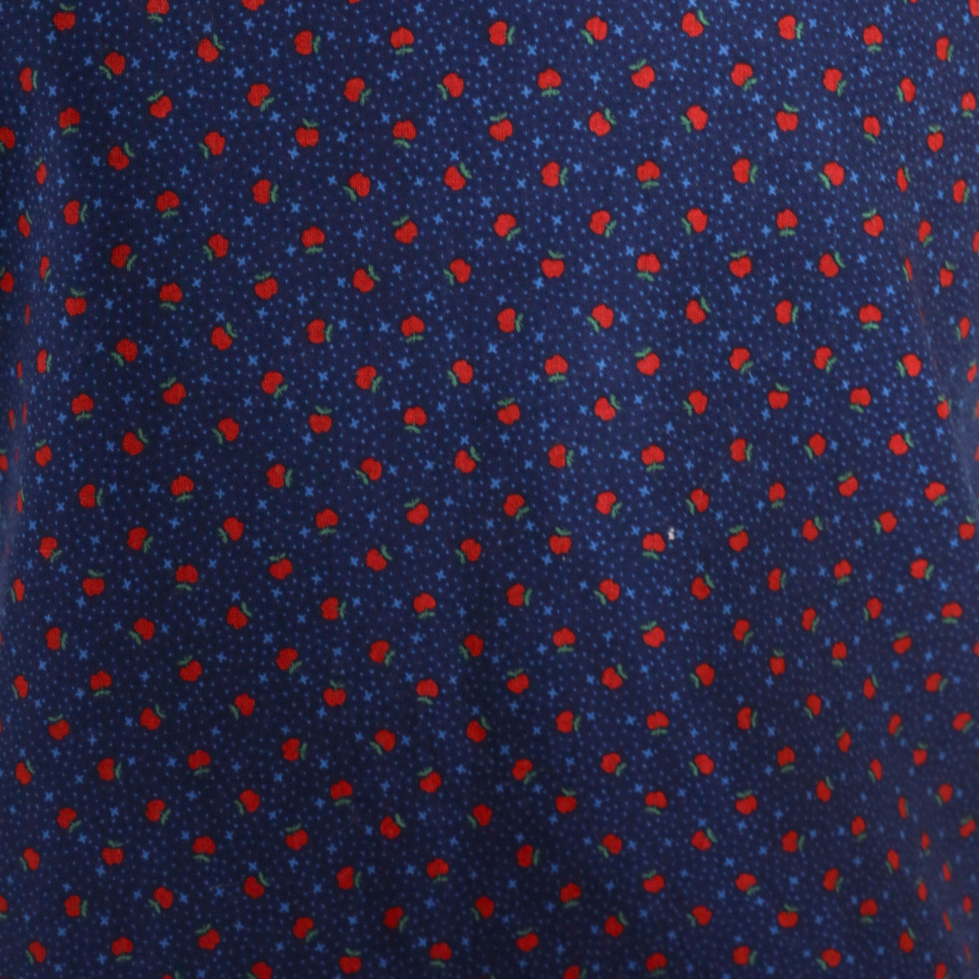 70s Blue Button-Up Vest Apple Print Sleeveless Jacket Medium
