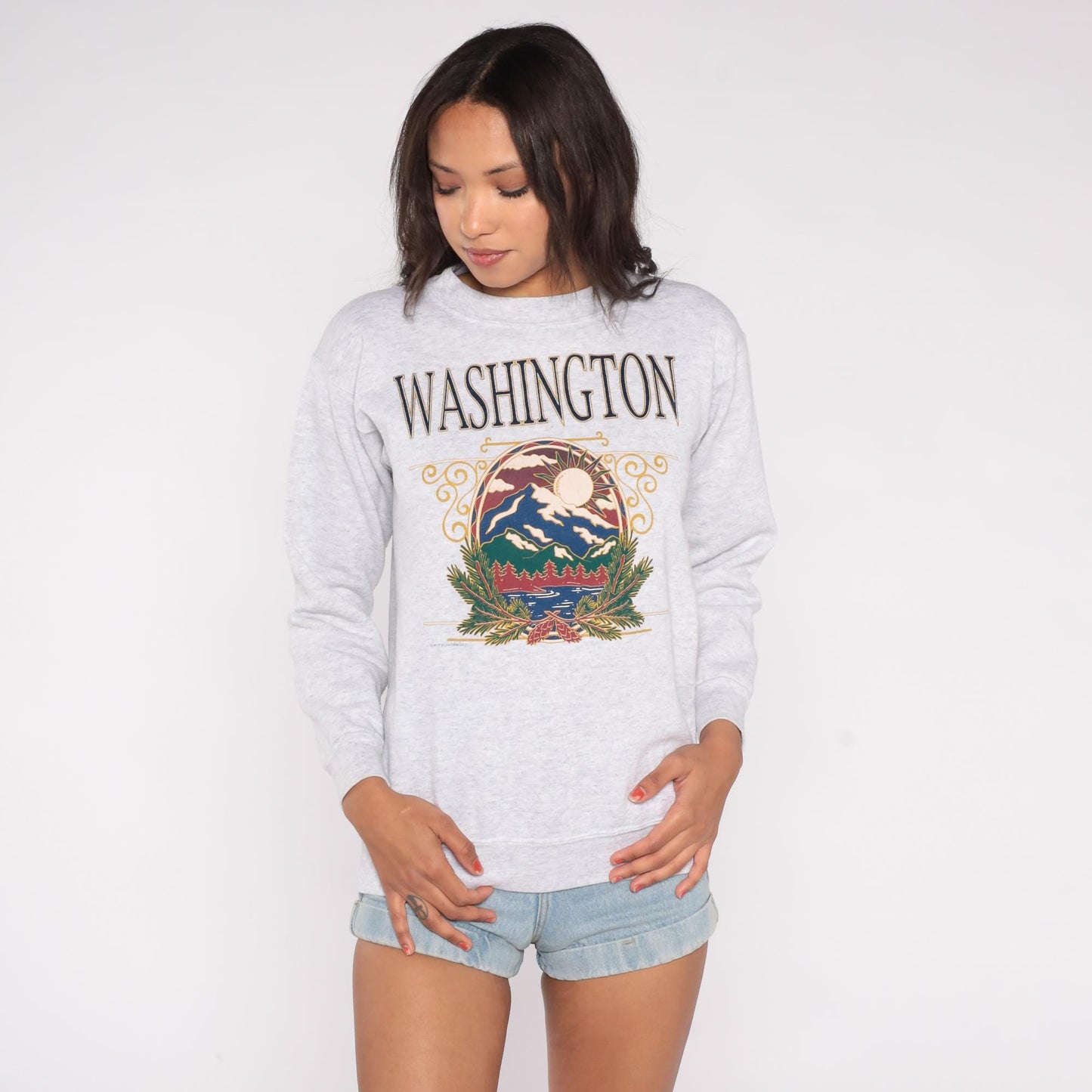 90s Murina Washington Graphic Sweatshirt Mountain Print Grey Small