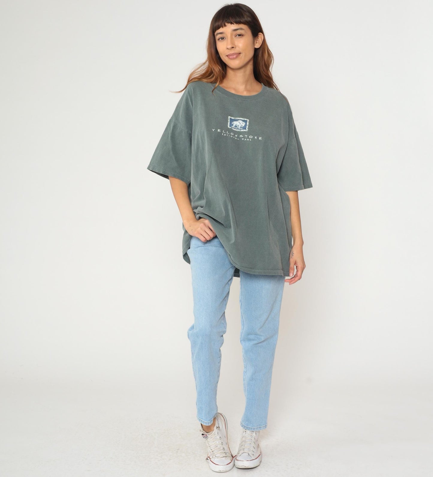 90s Fred Harvey Yellowstone National Park Bison Cotton Tee Sage Green Extra Large XL