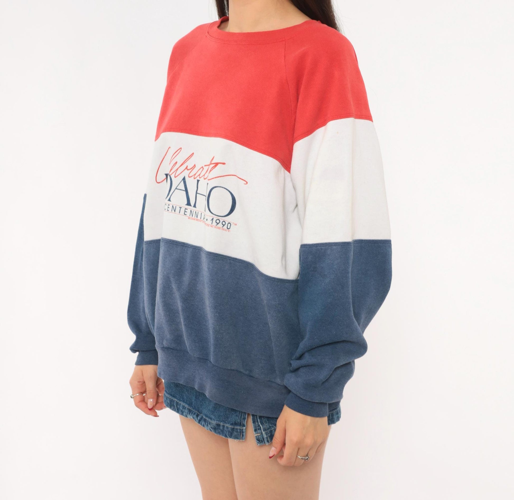 90s Rhoda Z Idaho Centennial Color Block Sweatshirt Red Navy Crewneck Medium