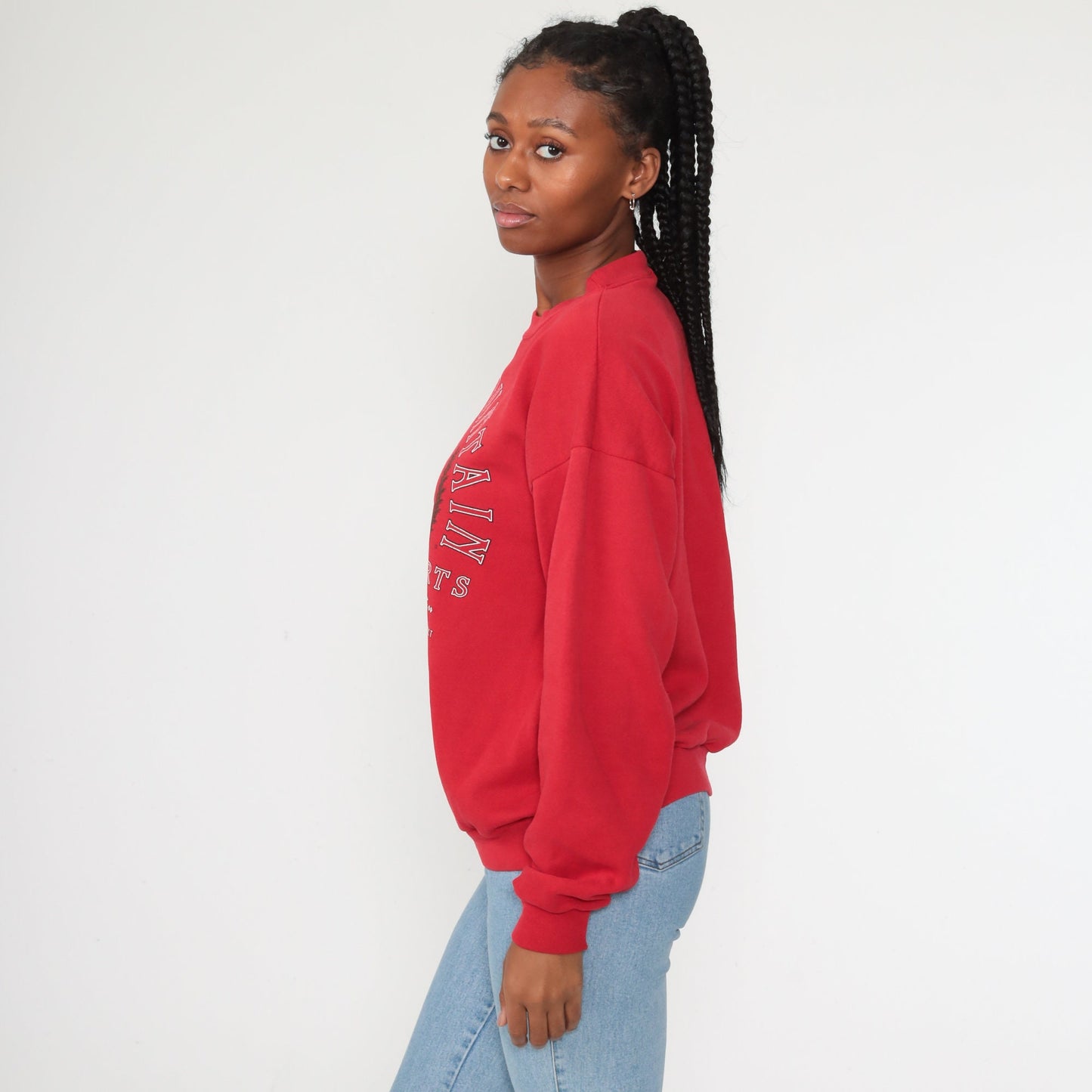 90s Bear Mountain New York Graphic Sweatshirt Crewneck Red Medium Large