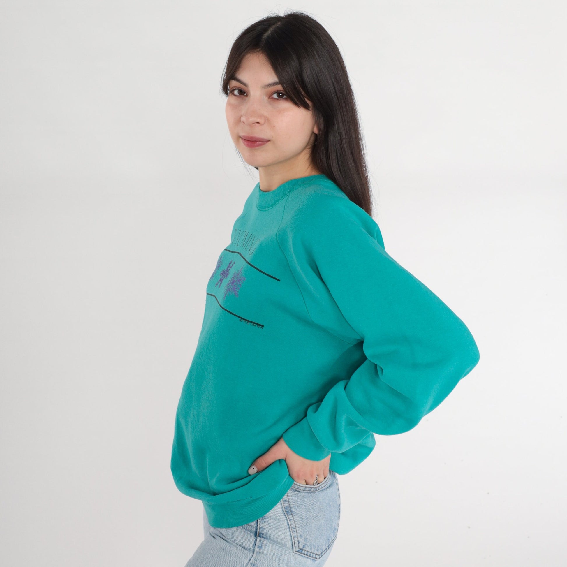 90s Wyoming Snowflake Graphic Sweatshirt Teal Raglan Crewneck Extra Large XXL