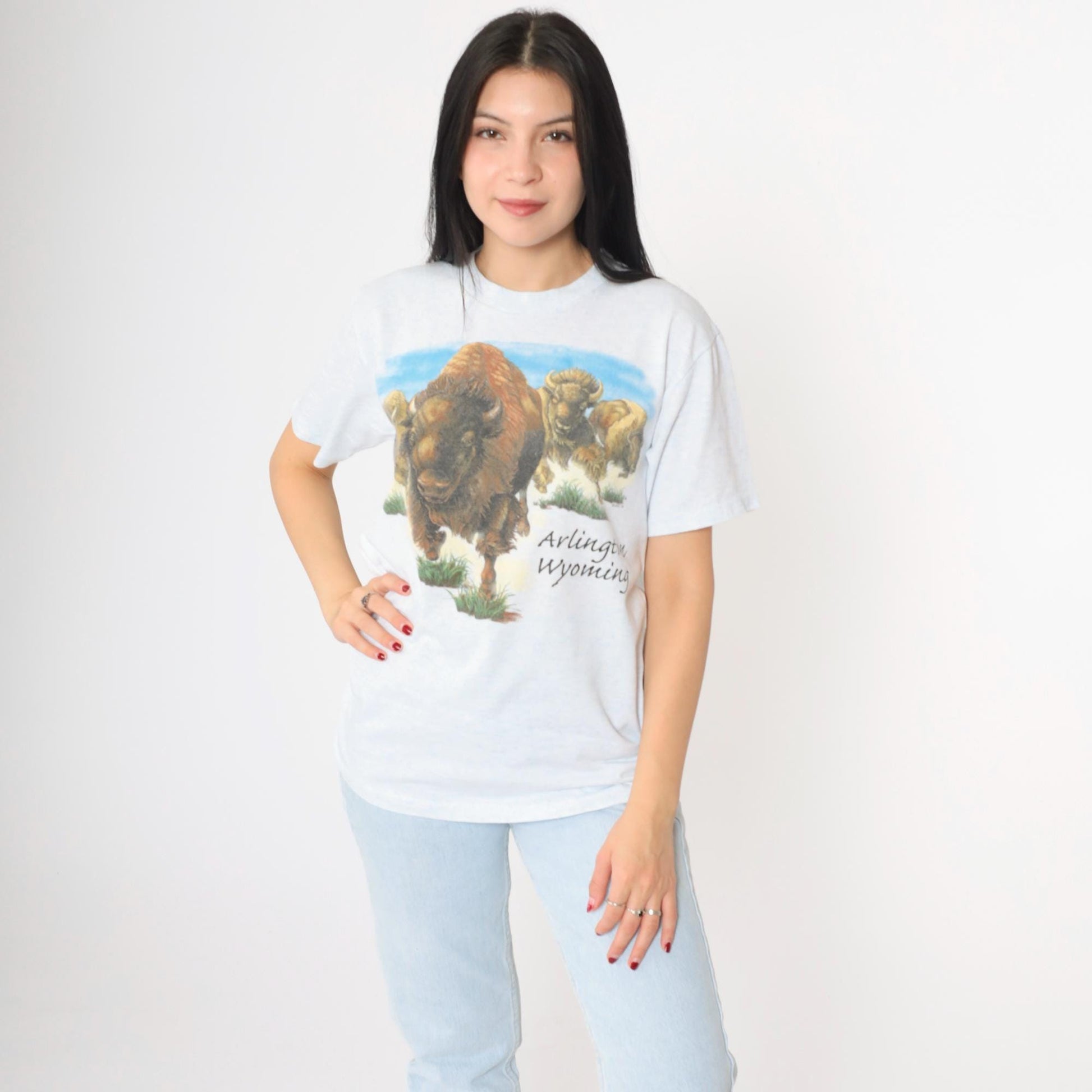 90s Buffalo Arlington Wyoming Graphic T-Shirt Flecked White Blue Small