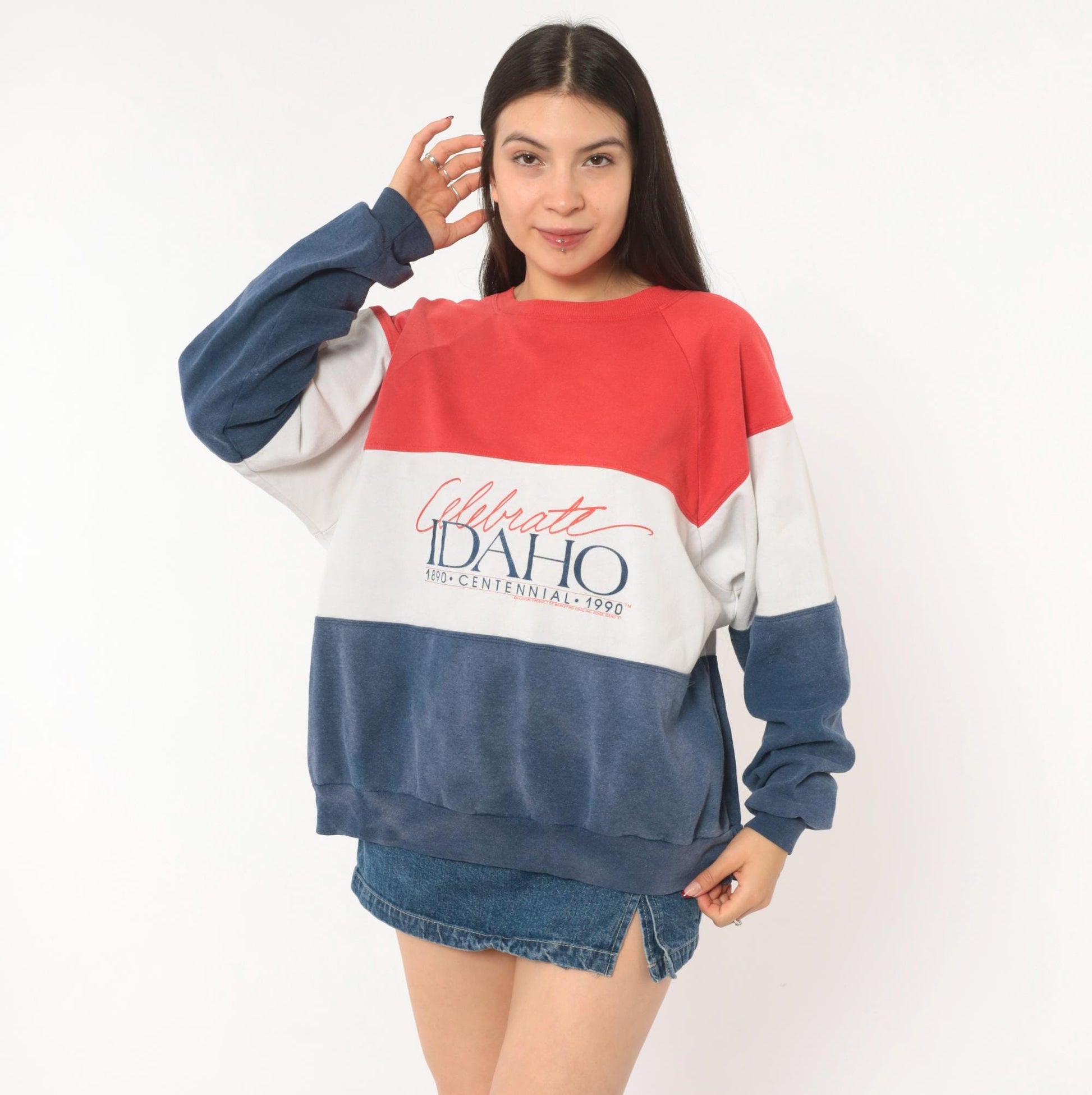 90s Rhoda Z Idaho Centennial Color Block Sweatshirt Red Navy Crewneck Medium