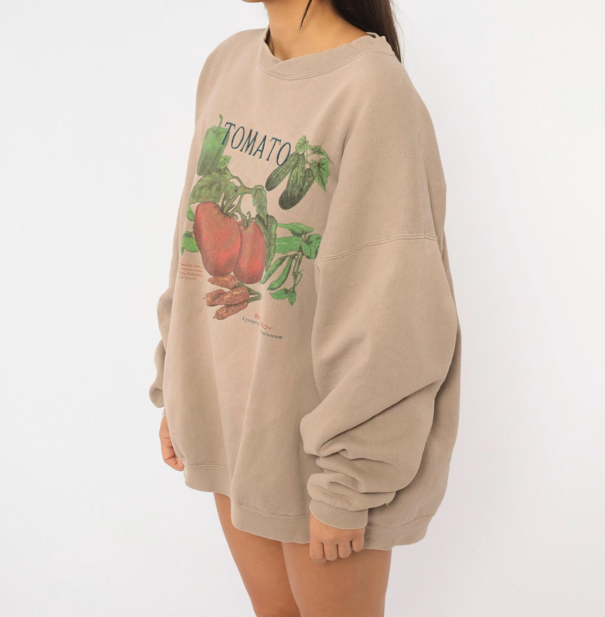 90s 5 Seasons Tomato Garden Vegetable Graphic Sweatshirt Tan Crewneck Large
