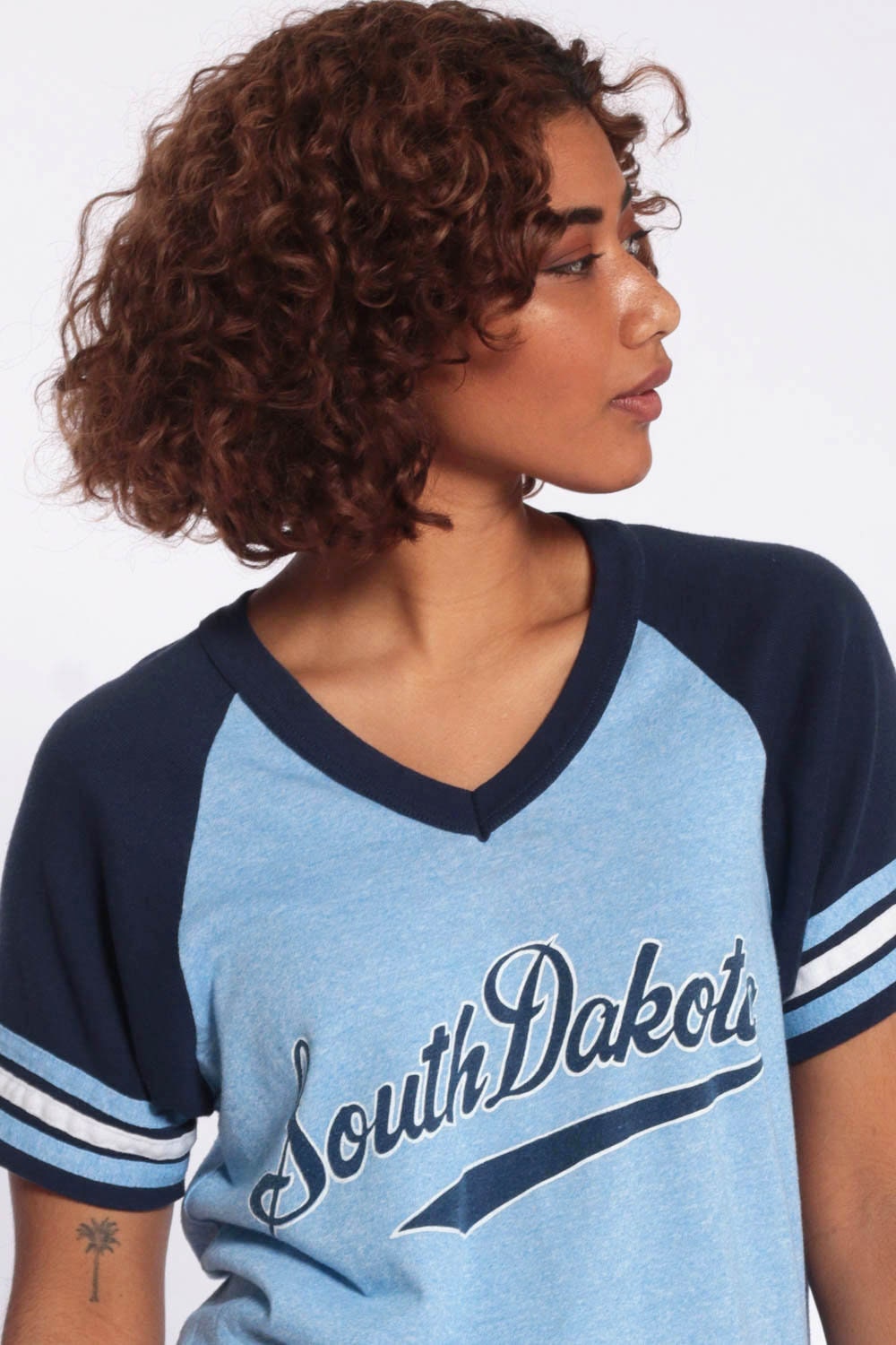 70s-80s South Dakota Ringer T-Shirt Blue Striped Raglan Small