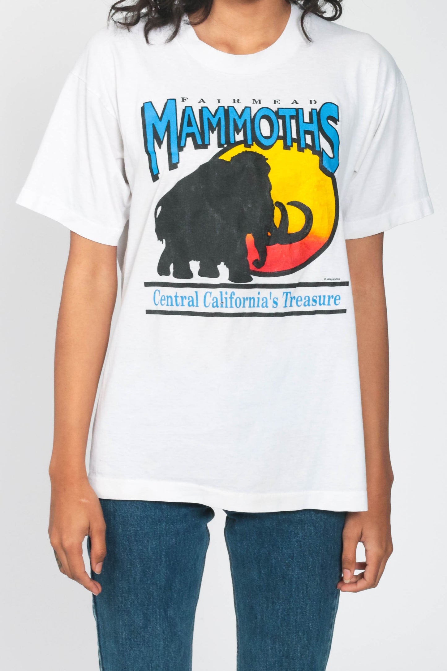 80s Fairmead Mammoths Graphic T-Shirt Single Stitch Cotton Medium