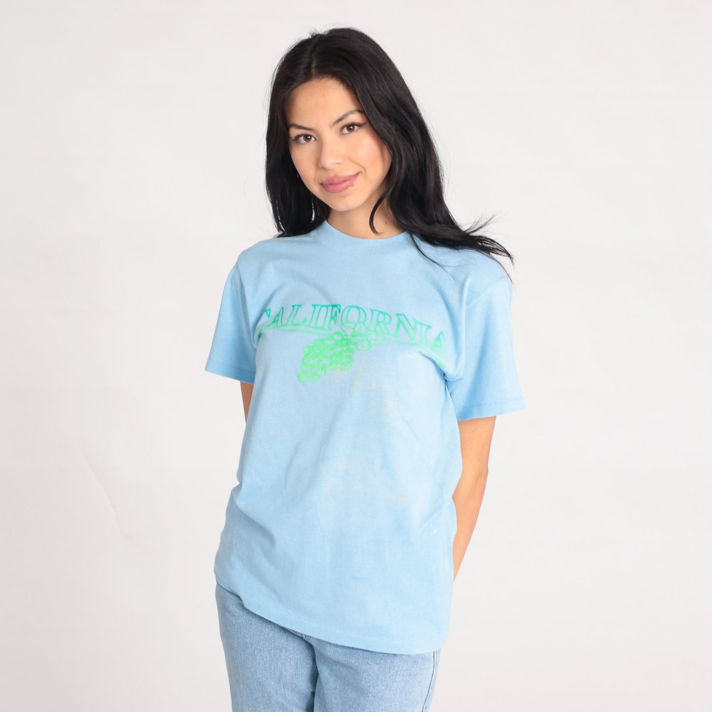 80s California Grape Vineyard Graphic T-Shirt Baby Blue Single Stitch Small