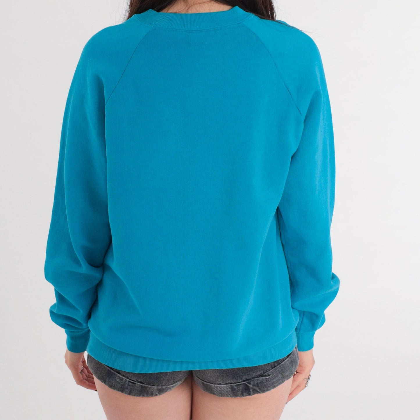 80s New England Raglan Sweatshirt Blue Graphic Crewneck Large
