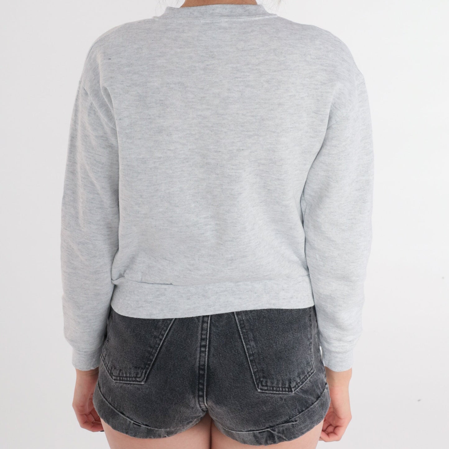 90s Arizona Desert Coyote Painted Sweatshirt Grey Glitter Graphic Jerzees Extra Small