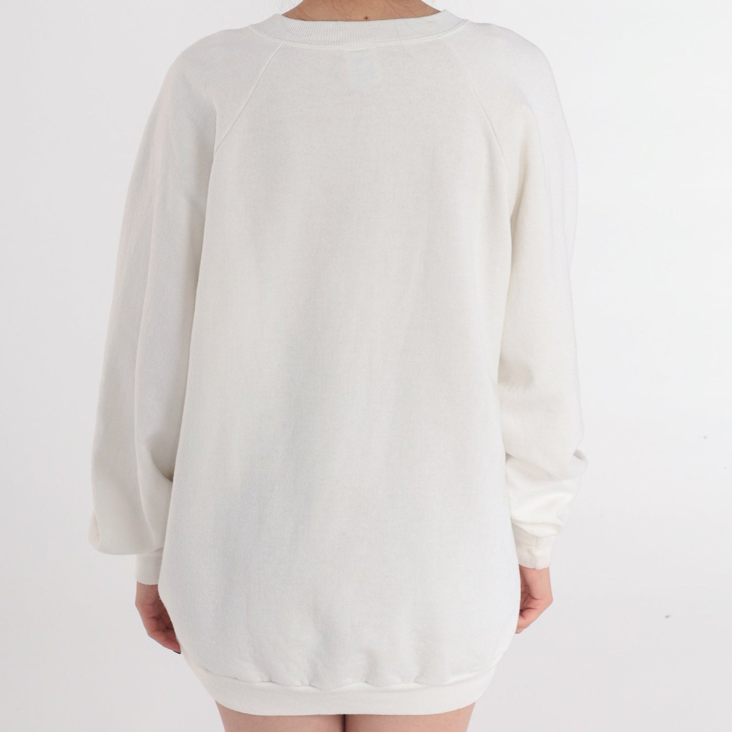 90s Jerzees Ely Nevada Night Graphic Sweatshirt White Raglan Plus Size XXL