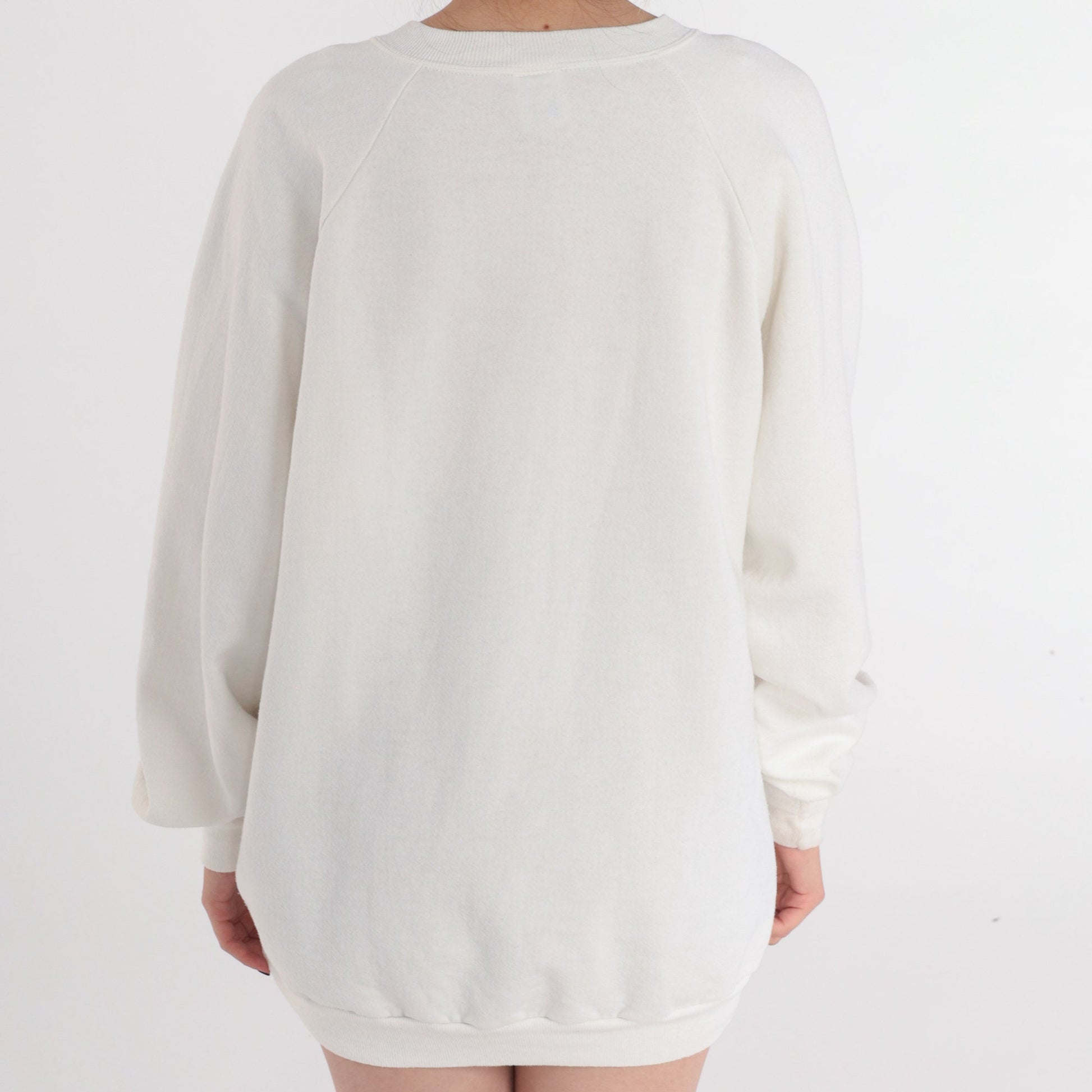 90s Jerzees Ely Nevada Night Graphic Sweatshirt White Raglan Plus Size XXL