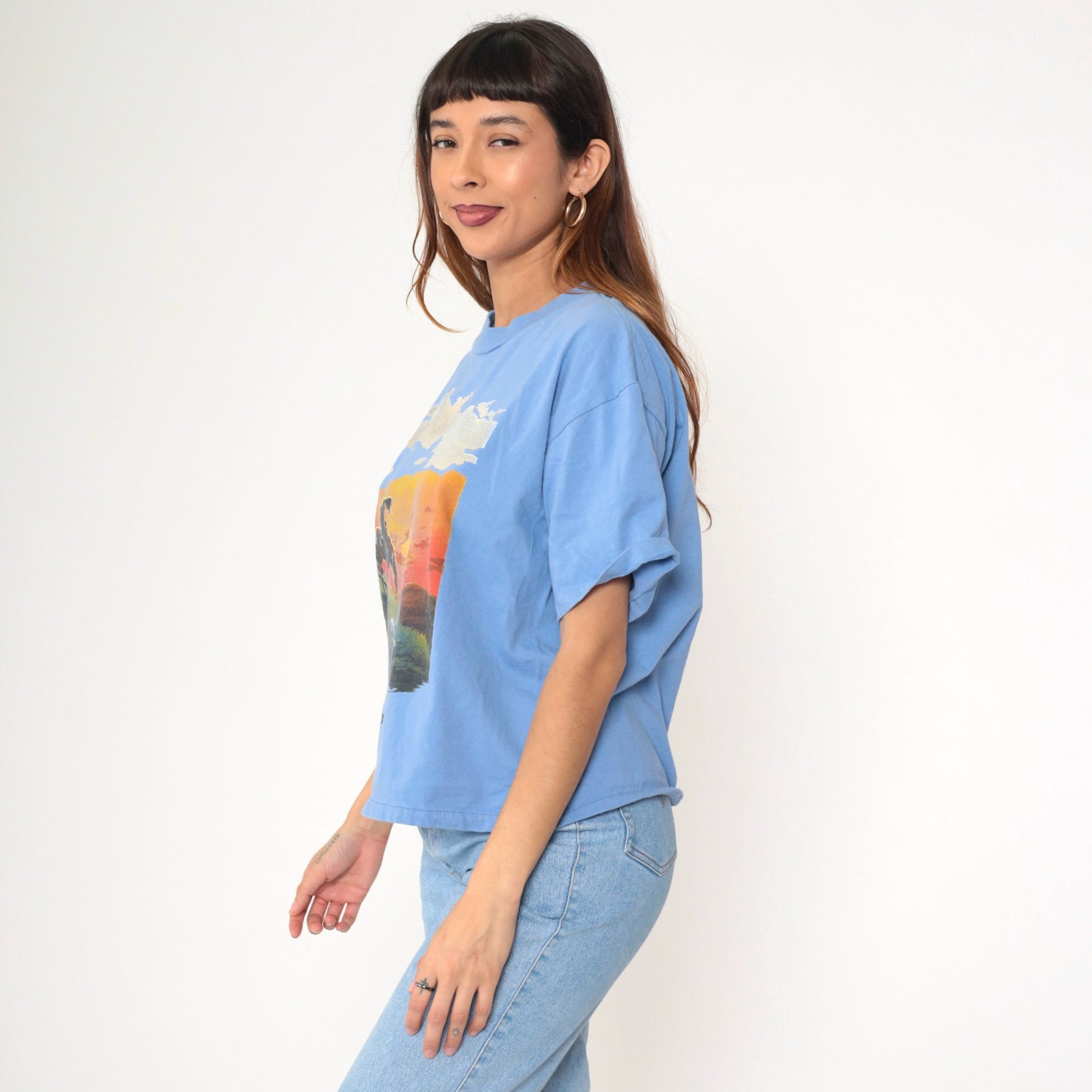 90s End of The Trail Native American Graphic T-Shirt Blue Large L