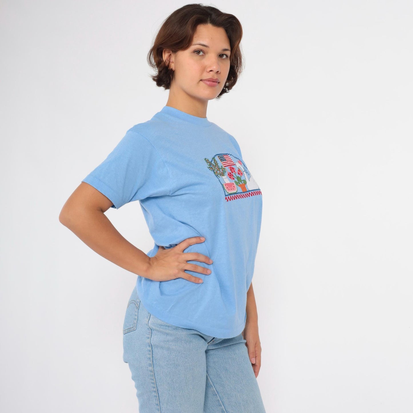 80s Screen Stars Embroidered Graphic Tee Swan Flag Watermelon Blue Medium