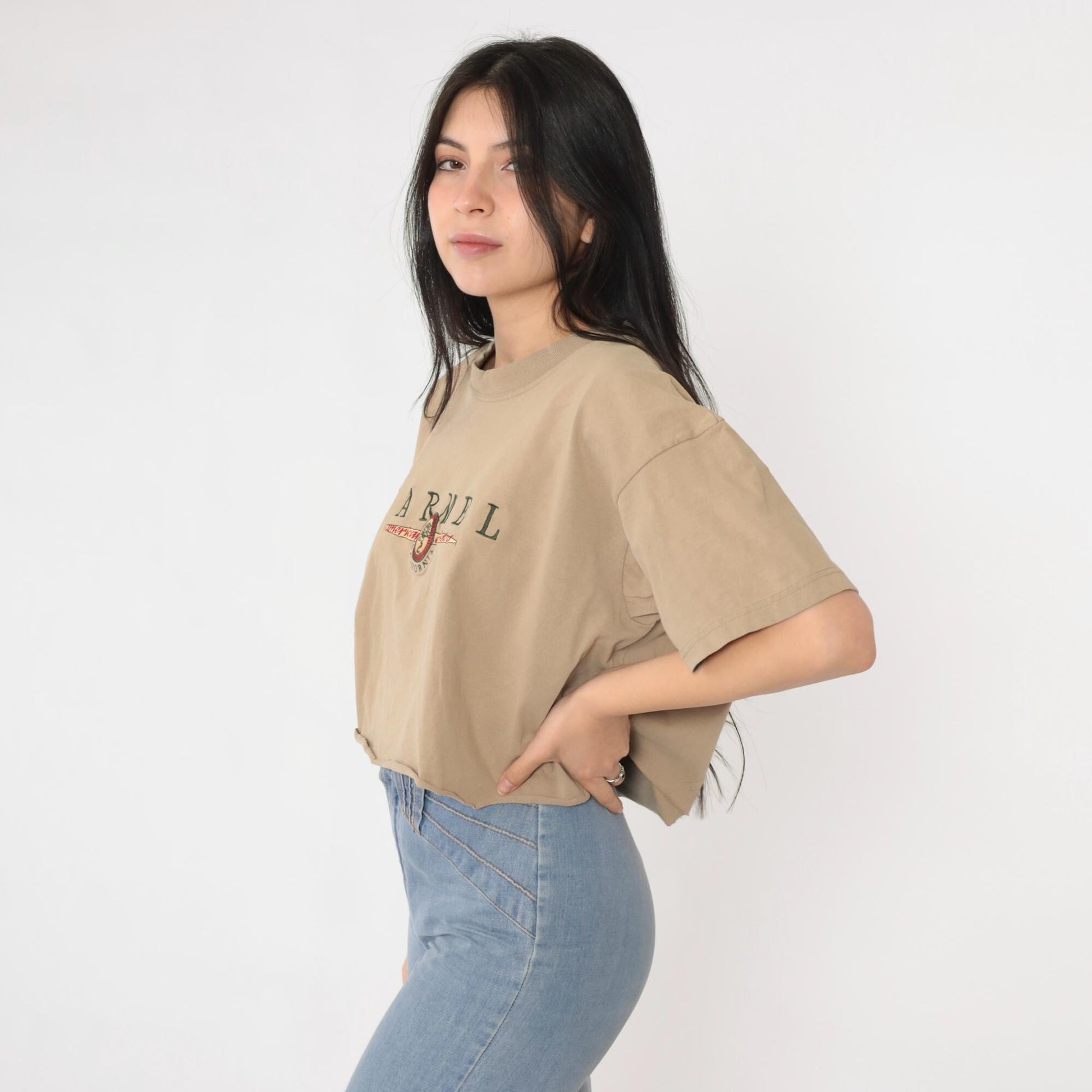 90s Carmel California Embroidered Crop Tee Tan Cotton Large L