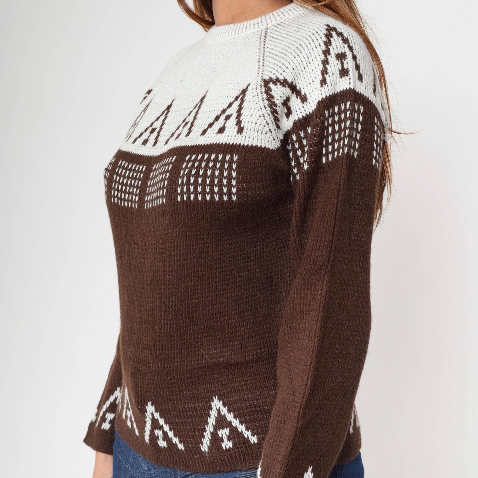 70s Carol Brent Geometric Color Block Sweater Brown White Raglan Small