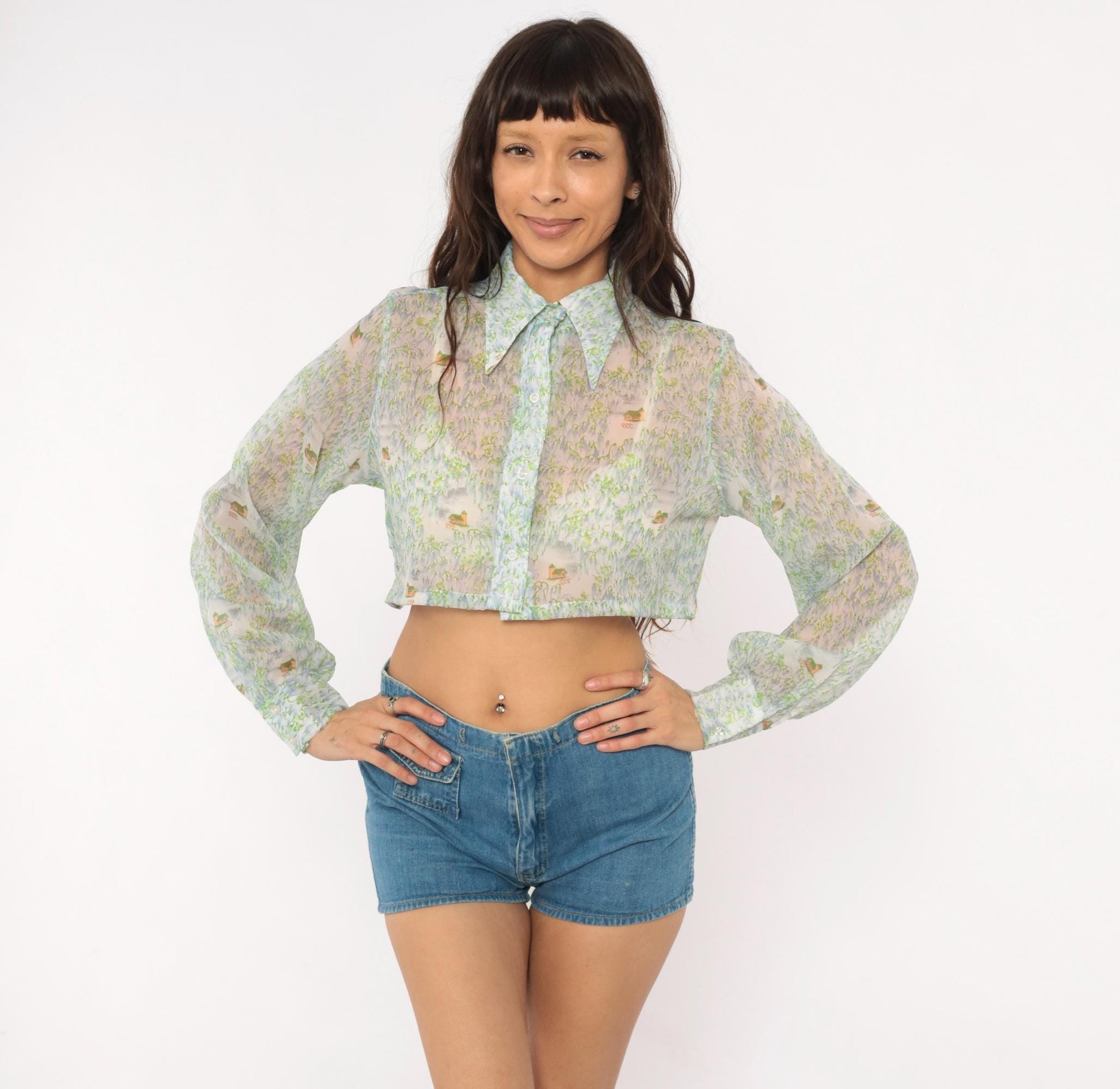 70s Tall Shop Cropped Sheer Blouse Pastoral Landscape Print Green Blue Small Medium