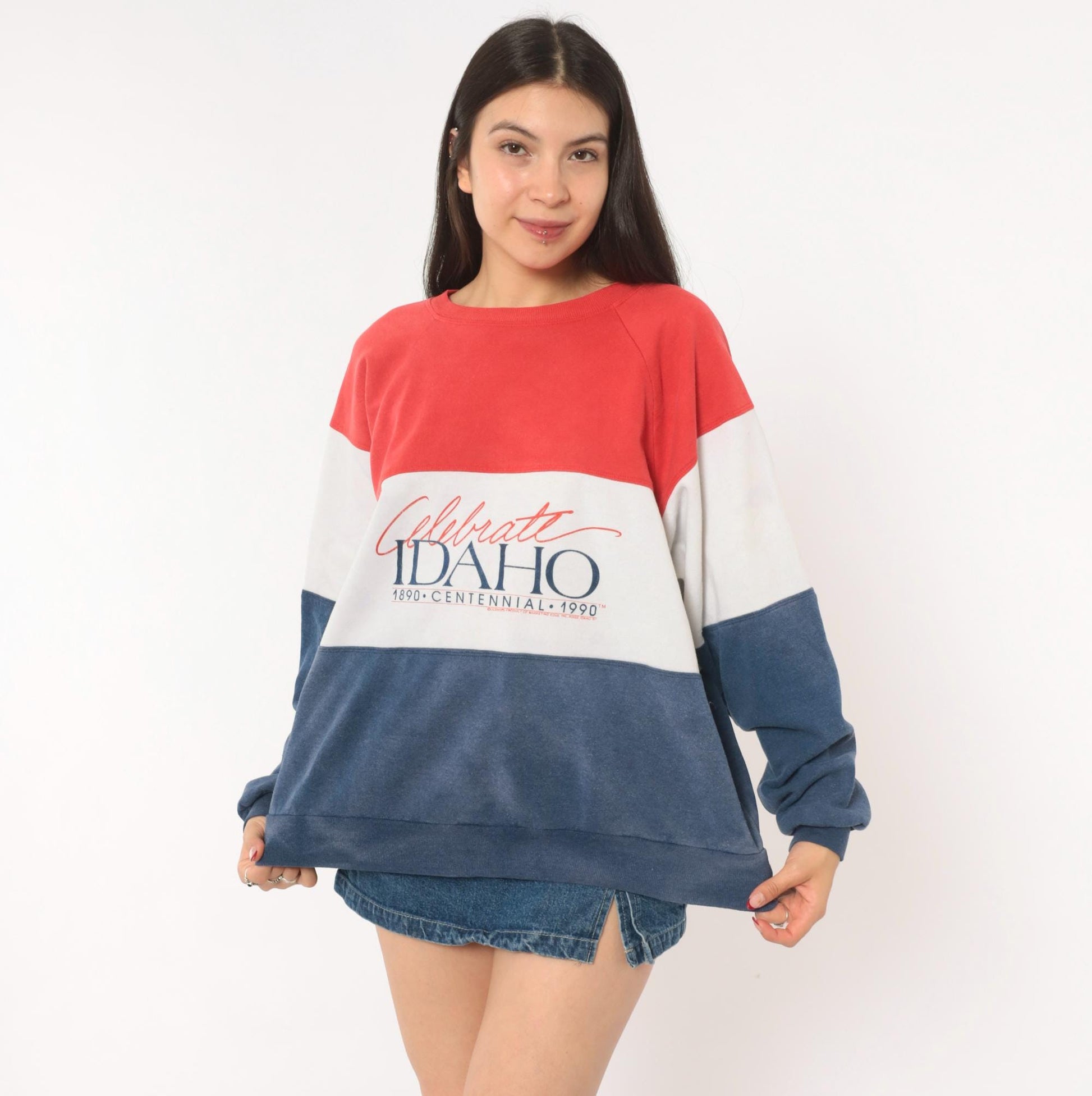 90s Rhoda Z Idaho Centennial Color Block Sweatshirt Red Navy Crewneck Medium