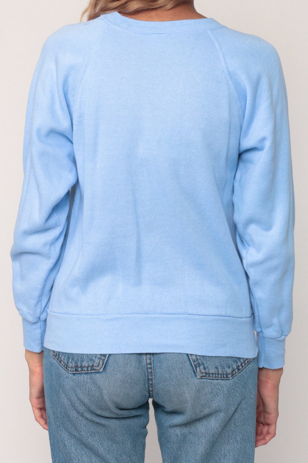 80s Coyote Cactus Sweatshirt Navajo Southwest Graphic Raglan Baby Blue XS