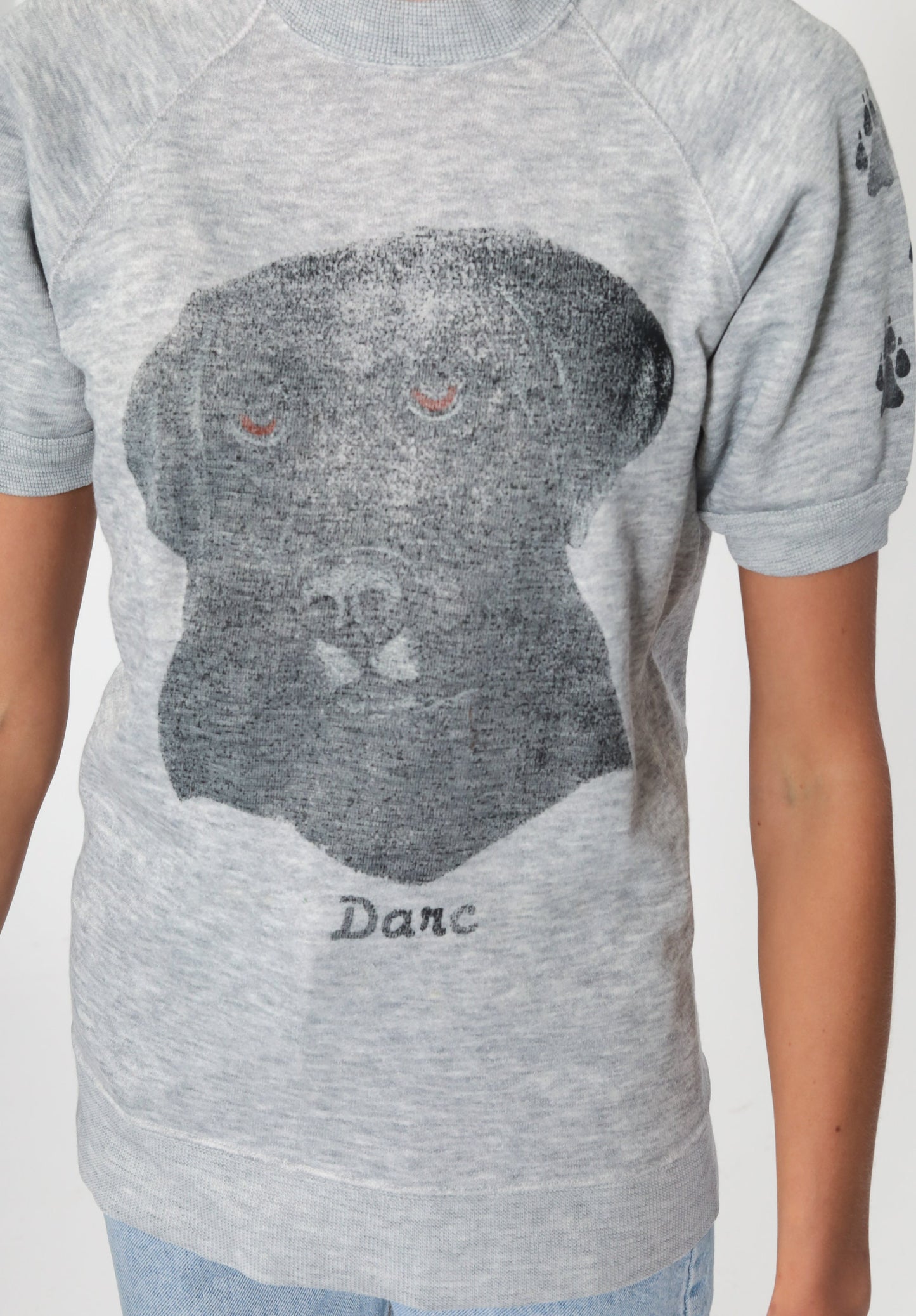 80s Dog Graphic Short Sleeve Sweatshirt Raglan Grey Small