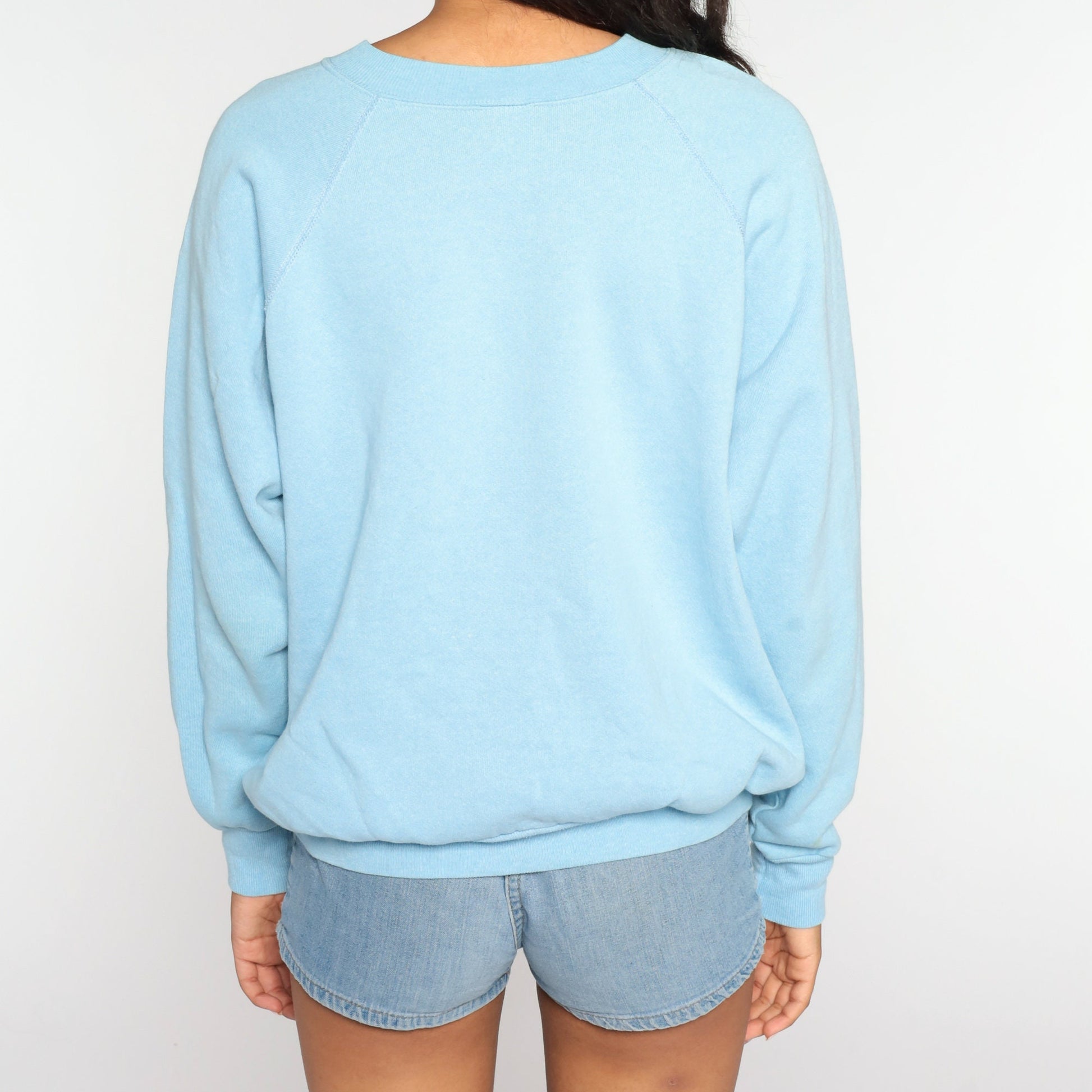 80s Pannill Goose Graphic Sweatshirt Baby Blue Crewneck Large