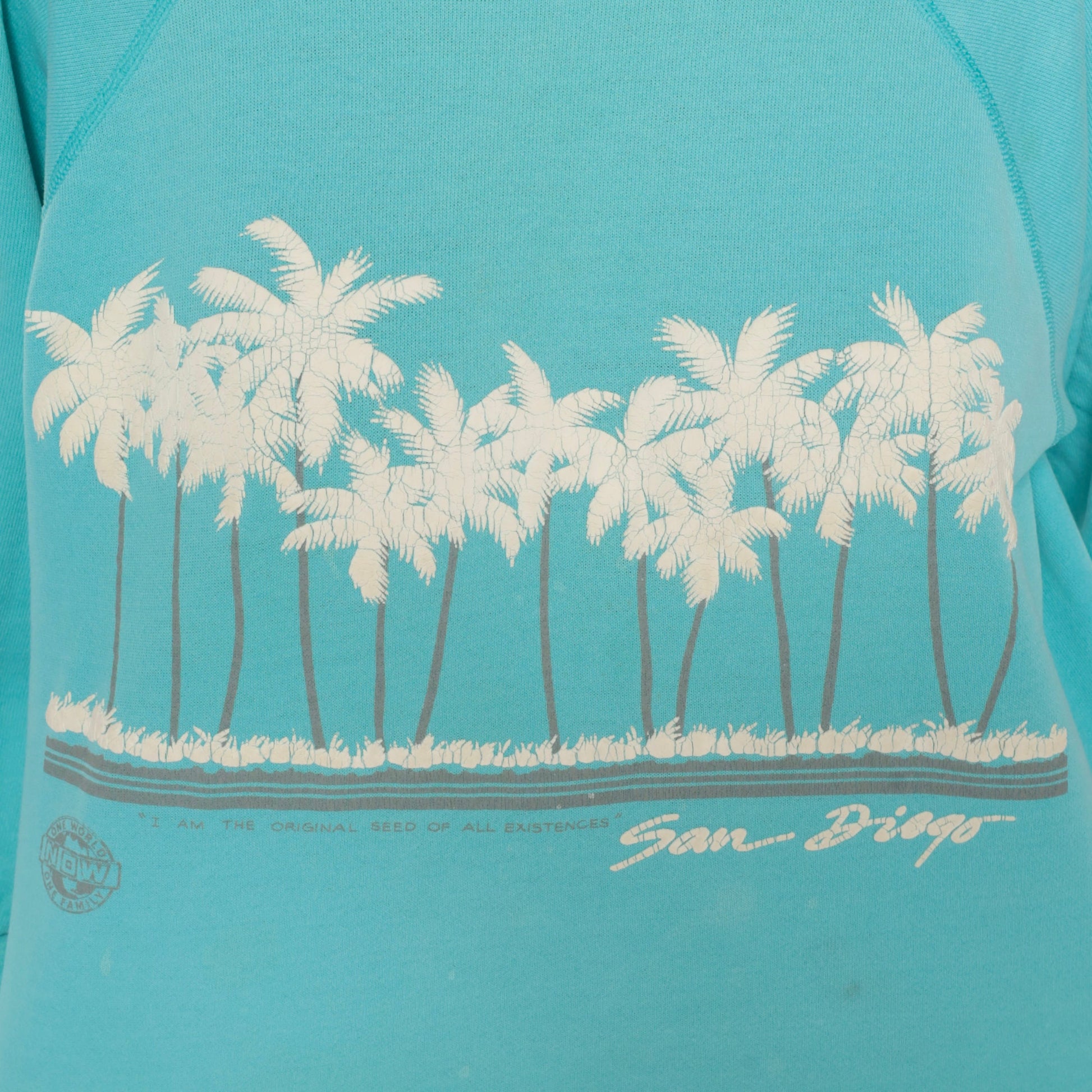 90s San Diego Palm Tree Sweatshirt Turquoise Raglan Crewneck Medium M